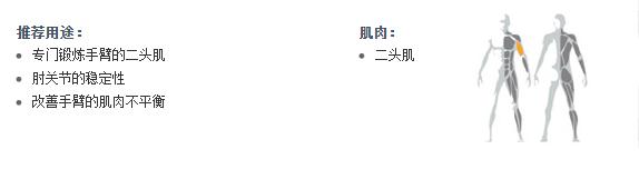 廣州鲍鱼视频APP官网安卓版健身器材