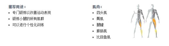 廣州鲍鱼视频APP官网安卓版健身器材